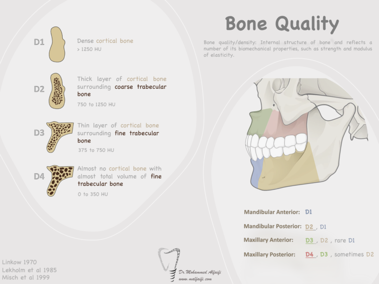 Bone Quality